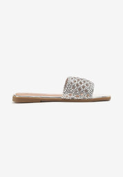 Silver flat slippers